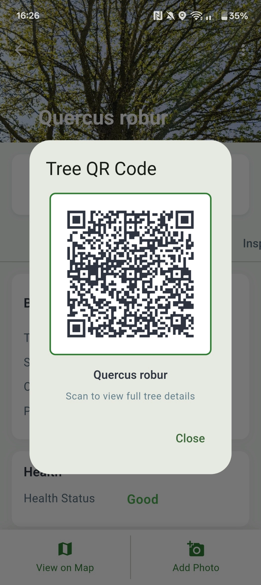 QR code of a tree in Boomwacht